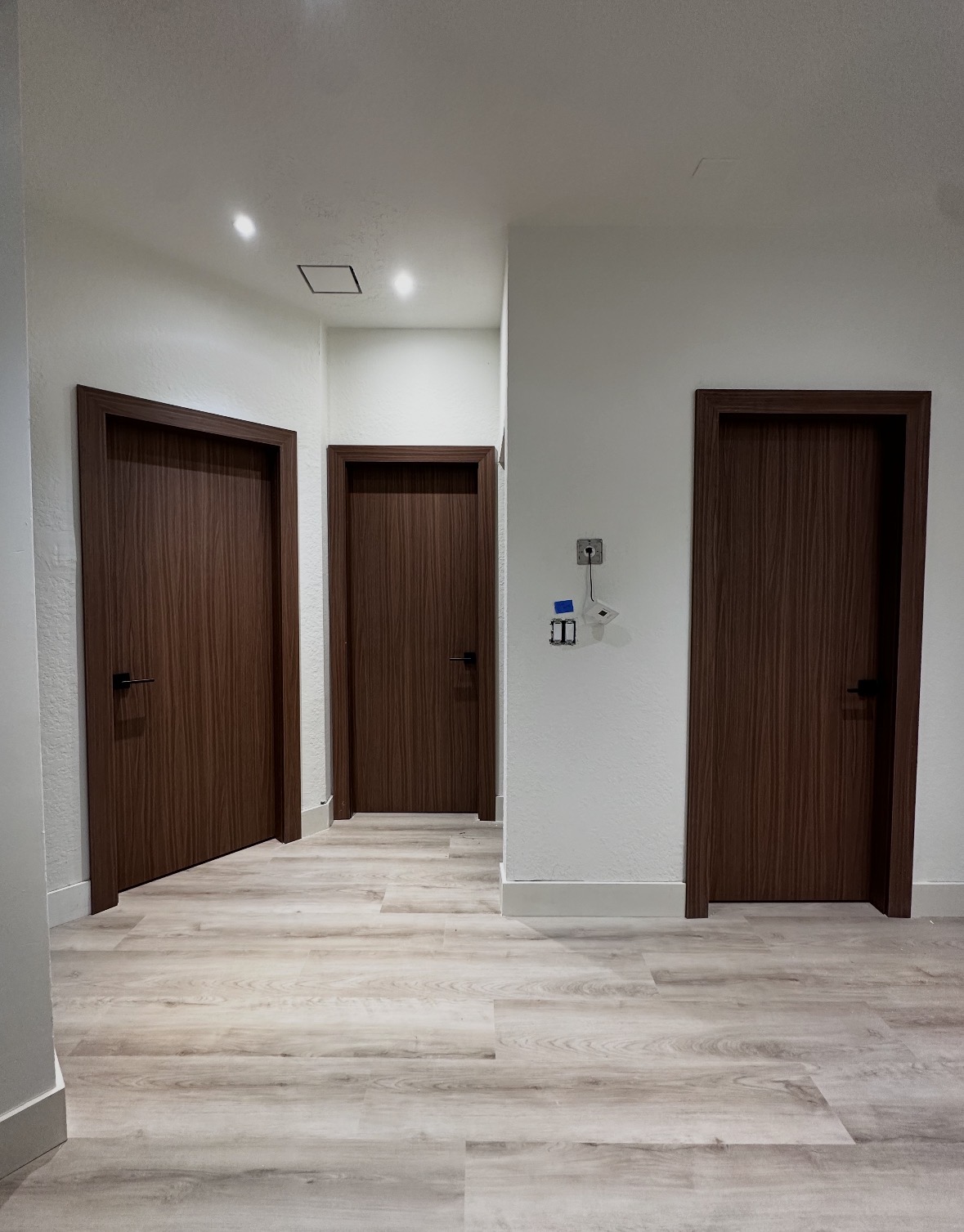 Walnut interior doors with black hardware